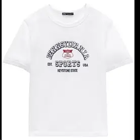 zara graphic t shirt