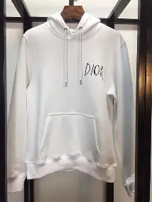 dior hoodie